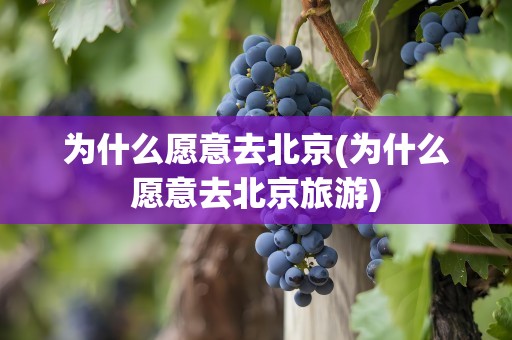 为什么愿意去北京(为什么愿意去北京旅游)