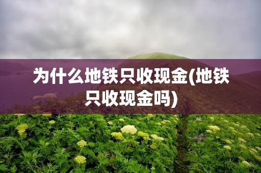为什么地铁只收现金(地铁只收现金吗)