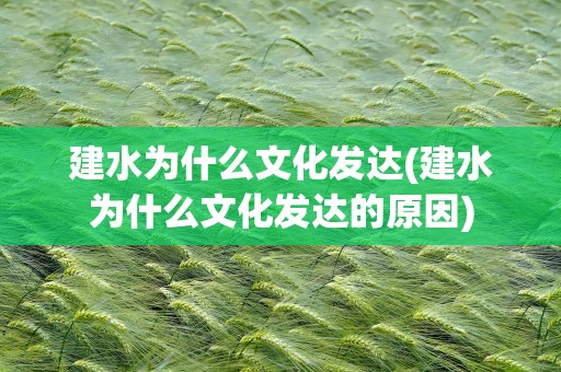 建水为什么文化发达(建水为什么文化发达的原因)