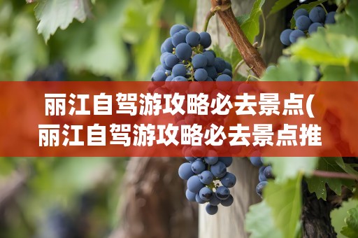丽江自驾游攻略必去景点(丽江自驾游攻略必去景点推荐)