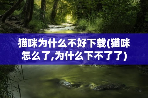 猫咪为什么不好下载(猫咪怎么了,为什么下不了了)