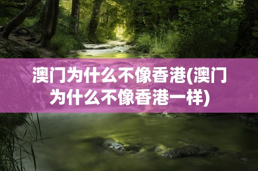 澳门为什么不像香港(澳门为什么不像香港一样)