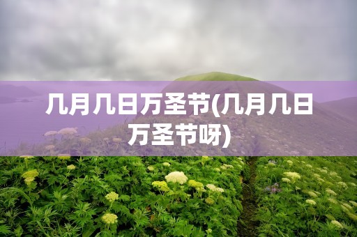 几月几日万圣节(几月几日万圣节呀)