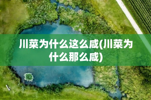 川菜为什么这么咸(川菜为什么那么咸)