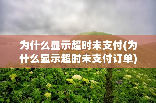 为什么显示超时未支付(为什么显示超时未支付订单)