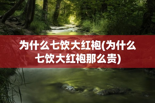 为什么七饮大红袍(为什么七饮大红袍那么贵)