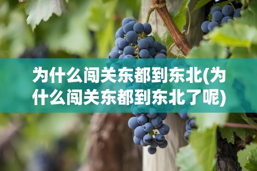为什么闯关东都到东北(为什么闯关东都到东北了呢)
