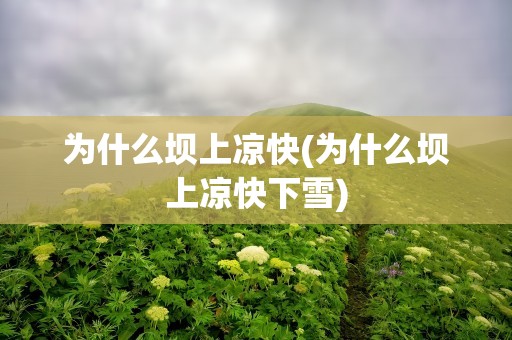 为什么坝上凉快(为什么坝上凉快下雪)