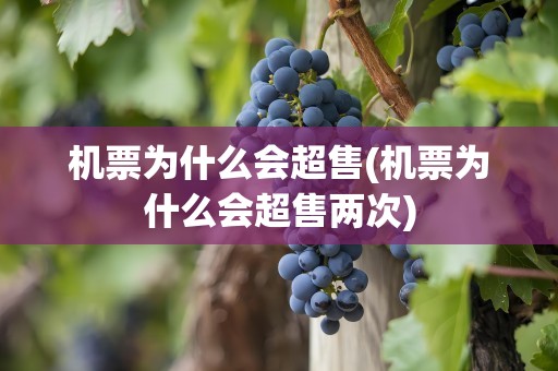 机票为什么会超售(机票为什么会超售两次)