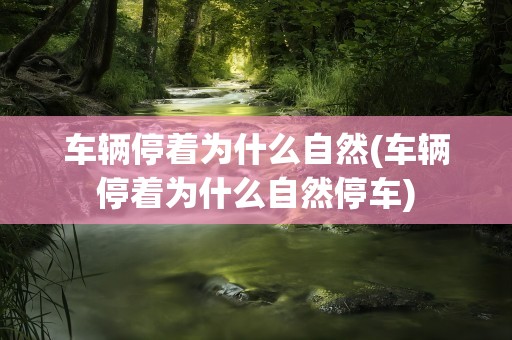 车辆停着为什么自然(车辆停着为什么自然停车)