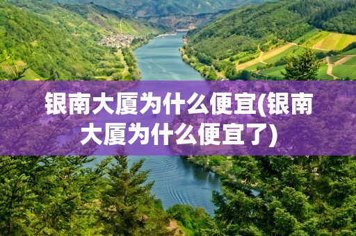银南大厦为什么便宜(银南大厦为什么便宜了)