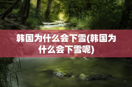 韩国为什么会下雪(韩国为什么会下雪呢)
