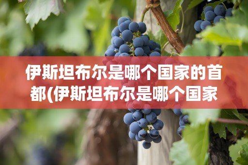 伊斯坦布尔是哪个国家的首都(伊斯坦布尔是哪个国家的首都图片)