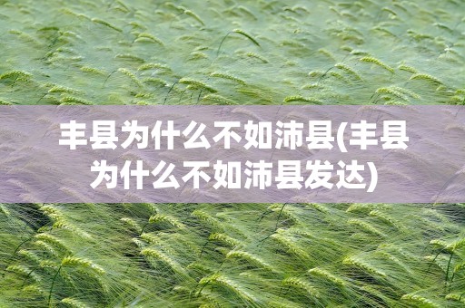 丰县为什么不如沛县(丰县为什么不如沛县发达)