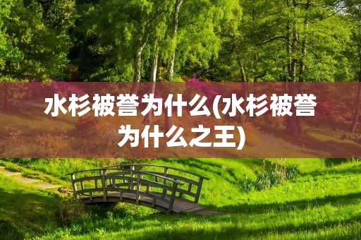 水杉被誉为什么(水杉被誉为什么之王)
