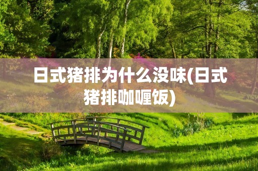日式猪排为什么没味(日式猪排咖喱饭)