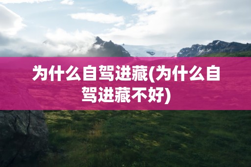 为什么自驾进藏(为什么自驾进藏不好)
