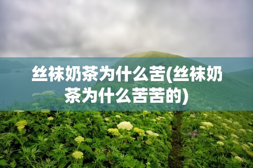 丝袜奶茶为什么苦(丝袜奶茶为什么苦苦的)