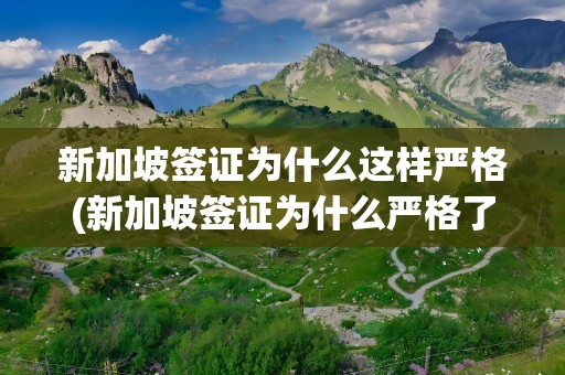 新加坡签证为什么这样严格(新加坡签证为什么严格了)