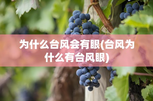 为什么台风会有眼(台风为什么有台风眼)