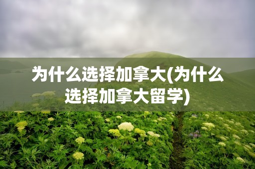 为什么选择加拿大(为什么选择加拿大留学)