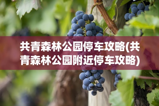 共青森林公园停车攻略(共青森林公园附近停车攻略)