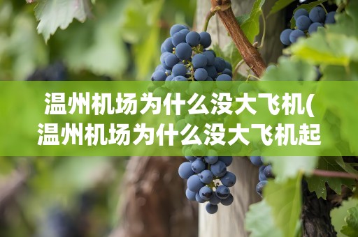 温州机场为什么没大飞机(温州机场为什么没大飞机起飞)