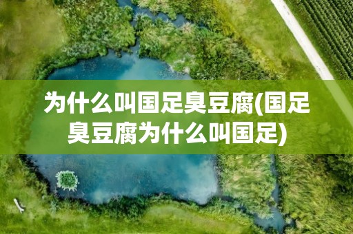 为什么叫国足臭豆腐(国足臭豆腐为什么叫国足)