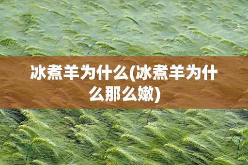冰煮羊为什么(冰煮羊为什么那么嫩)