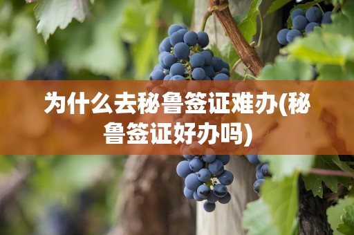 为什么去秘鲁签证难办(秘鲁签证好办吗)