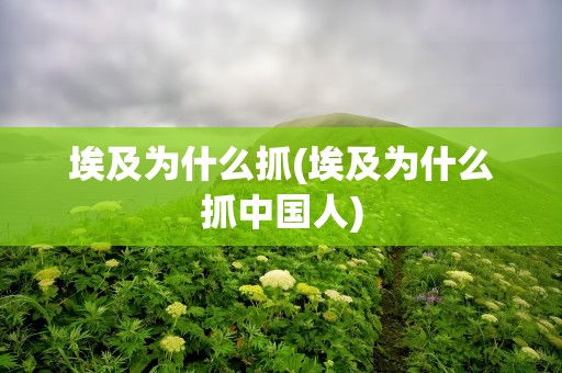 埃及为什么抓(埃及为什么抓中国人)