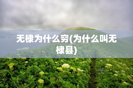 无棣为什么穷(为什么叫无棣县)