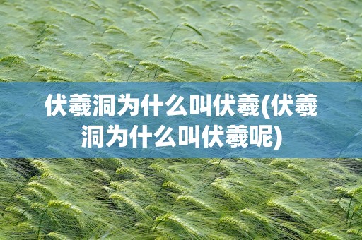 伏羲洞为什么叫伏羲(伏羲洞为什么叫伏羲呢)