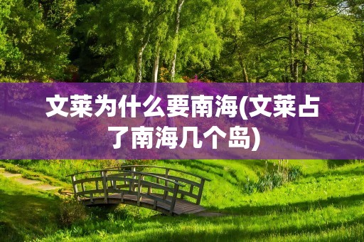 文莱为什么要南海(文莱占了南海几个岛)