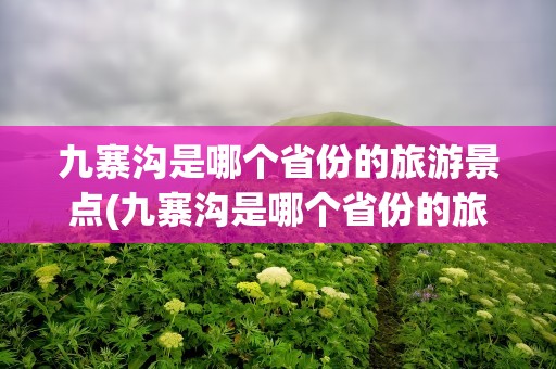 九寨沟是哪个省份的旅游景点(九寨沟是哪个省份的旅游景点呢)