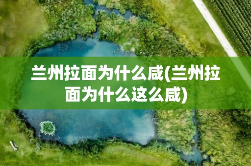 兰州拉面为什么咸(兰州拉面为什么这么咸)