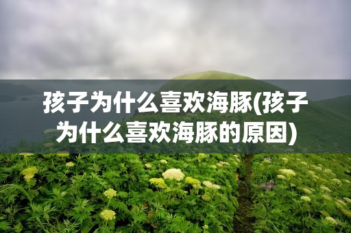 孩子为什么喜欢海豚(孩子为什么喜欢海豚的原因)
