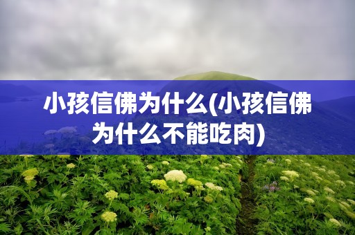 小孩信佛为什么(小孩信佛为什么不能吃肉)