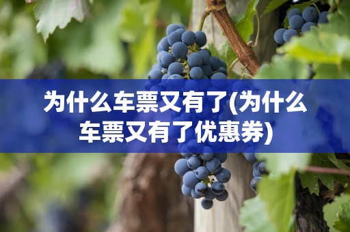 为什么车票又有了(为什么车票又有了优惠券)