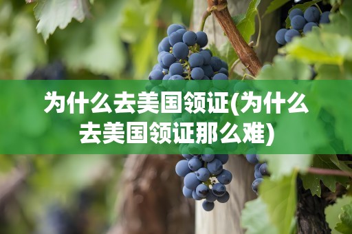 为什么去美国领证(为什么去美国领证那么难)
