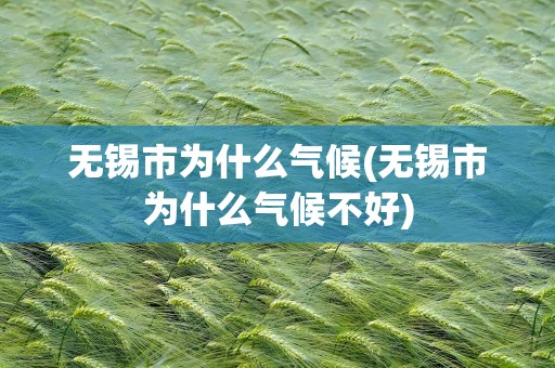 无锡市为什么气候(无锡市为什么气候不好)