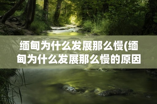 缅甸为什么发展那么慢(缅甸为什么发展那么慢的原因)