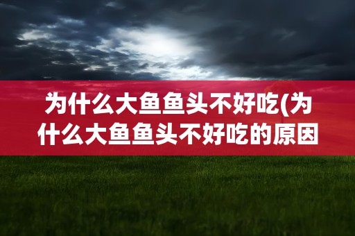 为什么大鱼鱼头不好吃(为什么大鱼鱼头不好吃的原因)