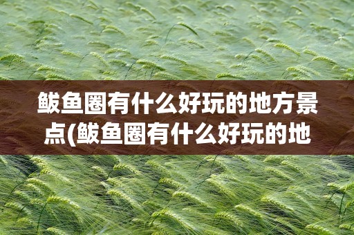 鲅鱼圈有什么好玩的地方景点(鲅鱼圈有什么好玩的地方景点图片)