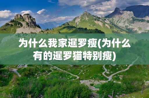 为什么我家暹罗瘦(为什么有的暹罗猫特别瘦)