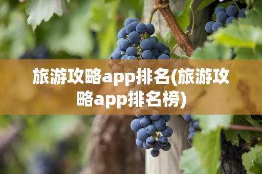 旅游攻略app排名(旅游攻略app排名榜)