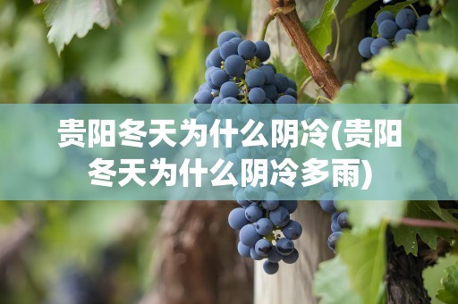 贵阳冬天为什么阴冷(贵阳冬天为什么阴冷多雨)