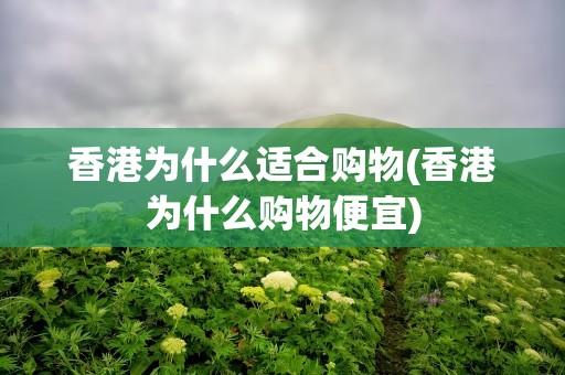 香港为什么适合购物(香港为什么购物便宜)