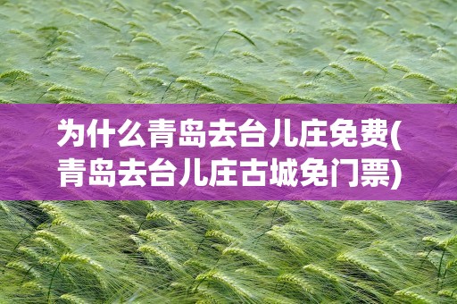 为什么青岛去台儿庄免费(青岛去台儿庄古城免门票)