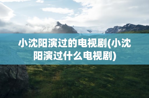 小沈阳演过的电视剧(小沈阳演过什么电视剧)